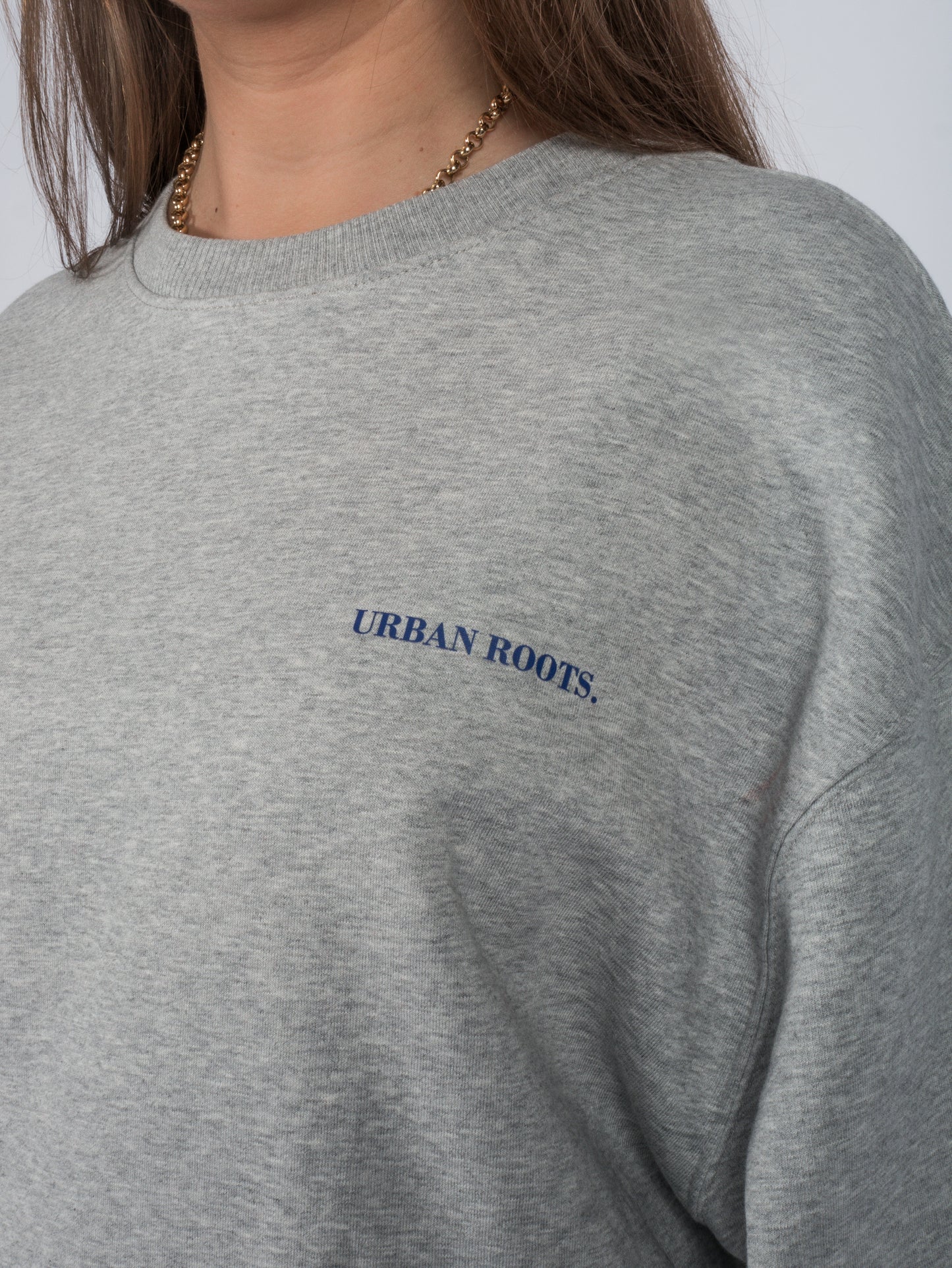 Crewneck Serendipity grey blue