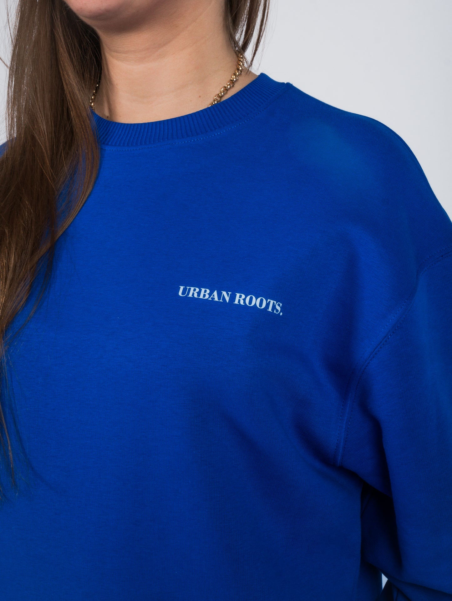 Crewneck Stangers blue