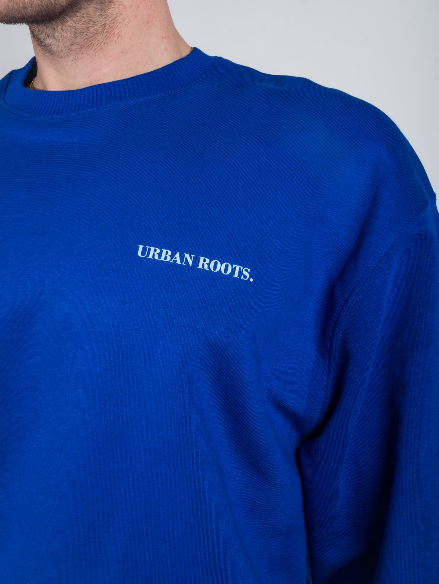 Crewneck Stangers blue