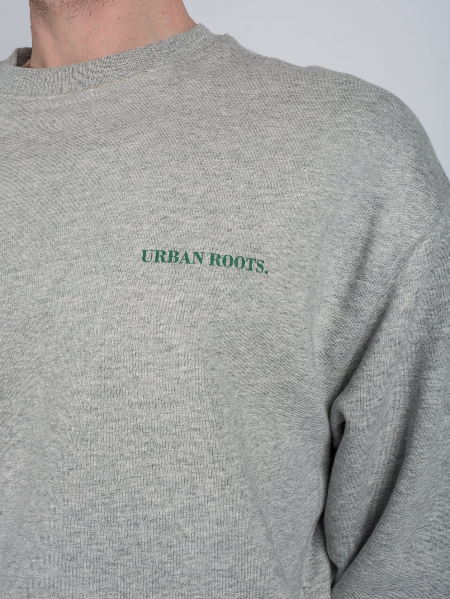 Crewneck Serendipity x friends grey green