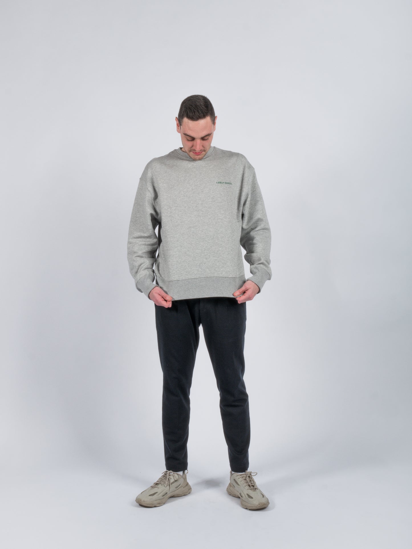 Crewneck Serendipity x friends grey green